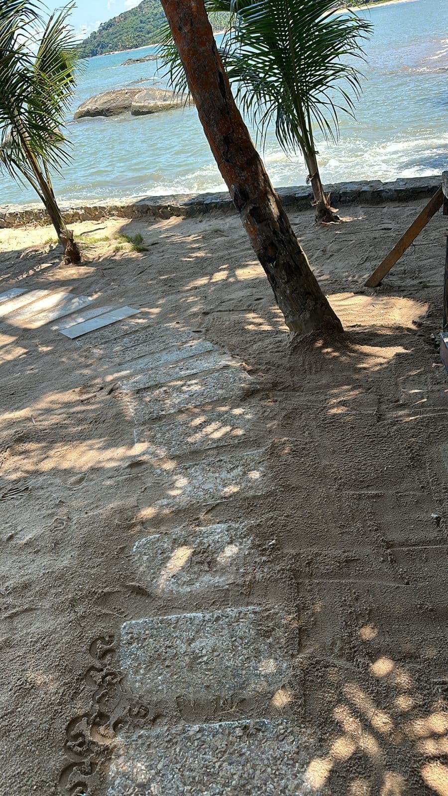 Jardin Botanique Municipal