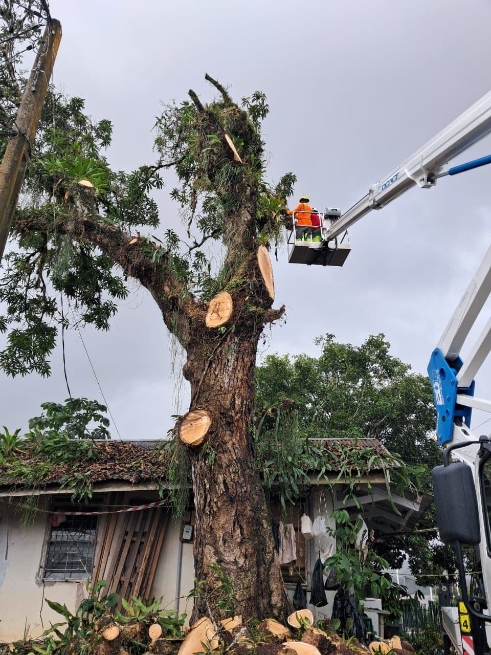 Centre Commercial Amazonia